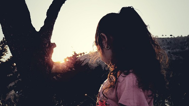 Free Sunset Trees photo and picture