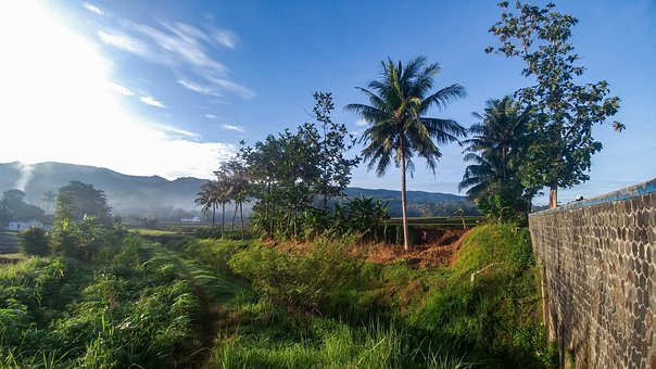 Landsby, Indonesien, Java, Banjarnegara
