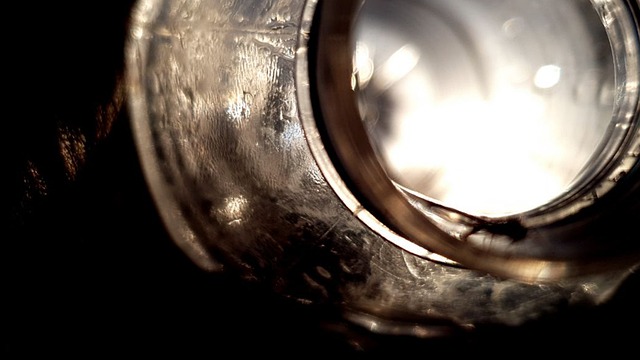 Free Vision Ant photo and picture