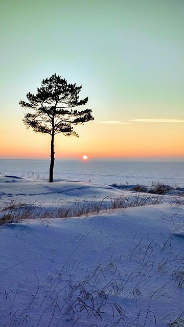 Free Winter Sun photo and picture