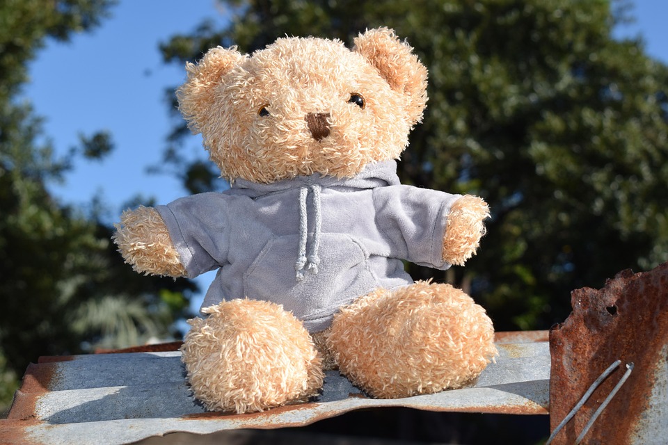 Bear Toy Teddy - Free photo on Pixabay