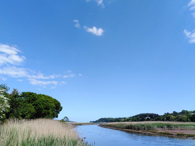 Free Blue Blue Sky photo and picture