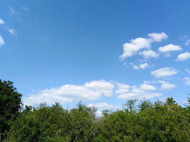Free Blue Green photo and picture