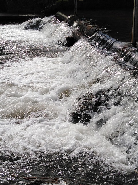 Free Water Waterway photo and picture