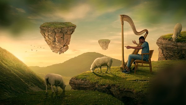 Free Shepherd Sheep photo and picture