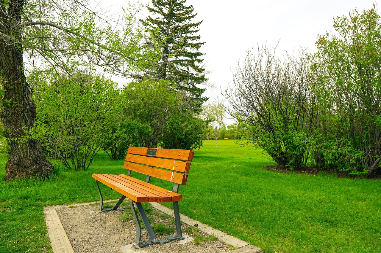 Solitaire Seule Parc - Photo gratuite sur Pixabay - Pixabay