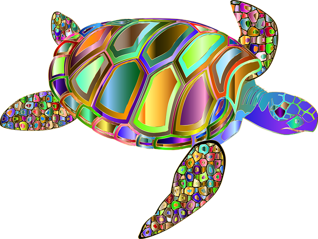 Free turtle tortoise nature vector