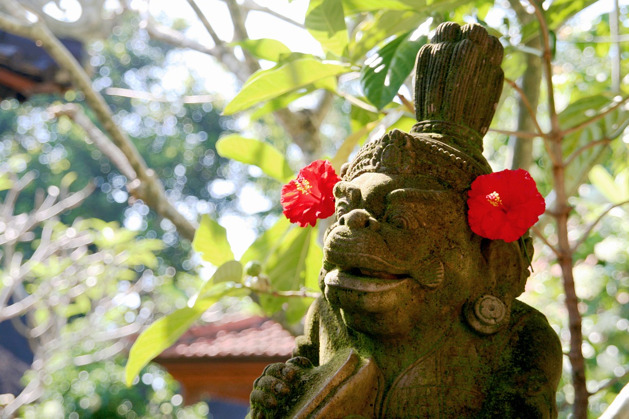 Bali, Ubud, Indonesië, Reizen, Natuur