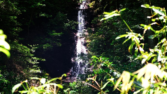 Wasserfall, Gebüsch, Natur, Szenisch