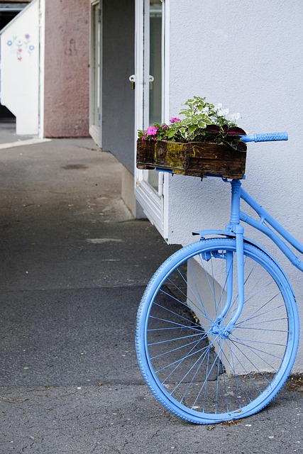 Cykel, Gade, By, Hus, Residence, Vindue