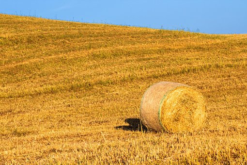 Panoráma, Nebe, Pole, Příroda, Země