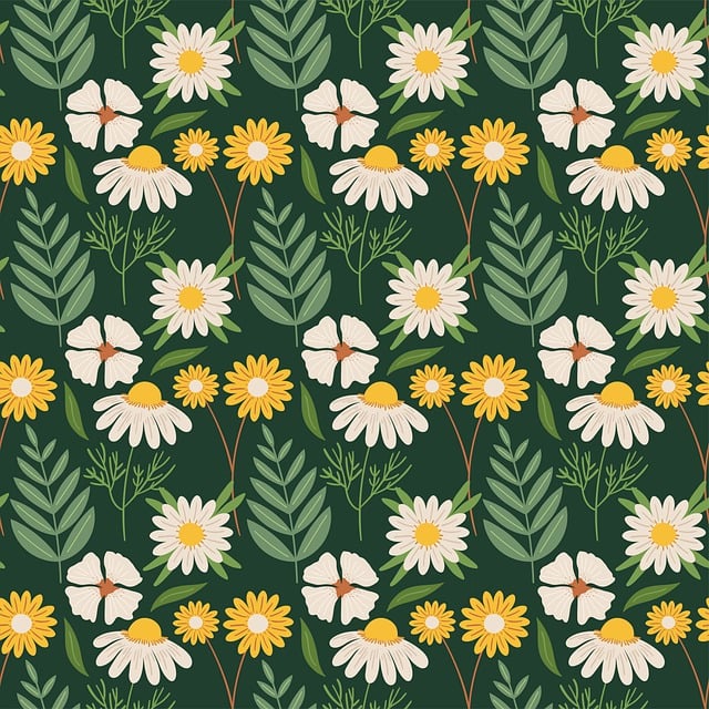 Free flower nature white illustration