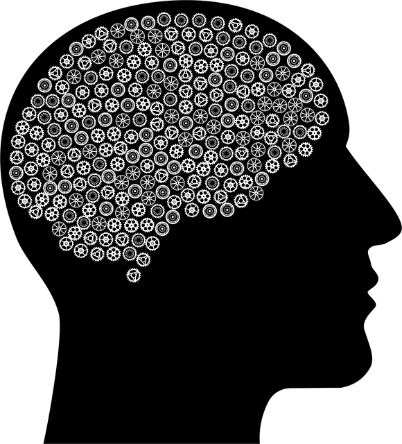 Download free HD stock image of Brain Gears Free brain gears cogs vector