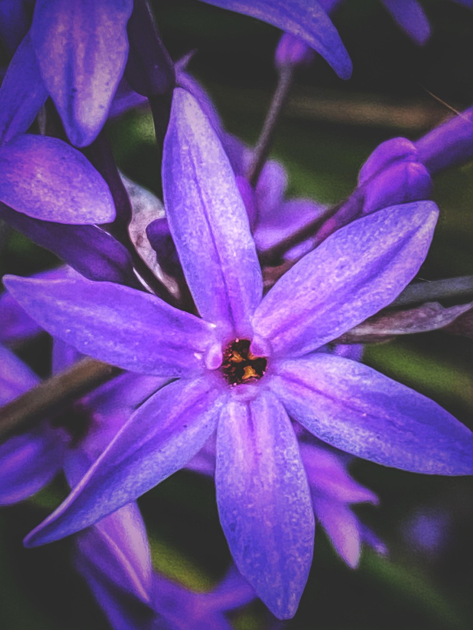 Sitemapcdatahttpsfinkedriinfophoto De Profil Nature Fleurnull
