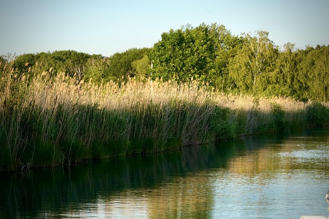 Free Neuenburgersee Gletterens photo and picture