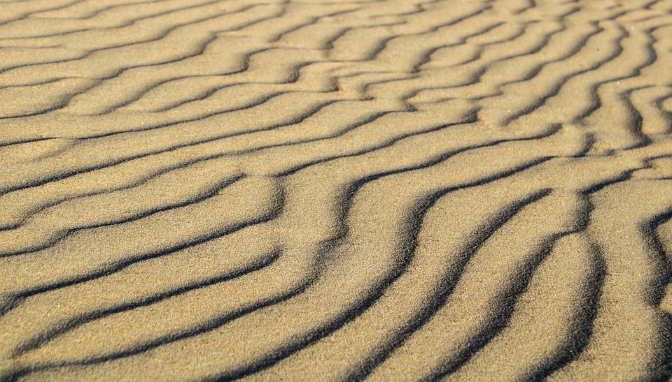 beach-5243072_960_720.jpg
