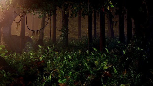 Free Jungel Forest photo and picture
