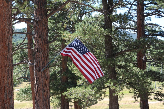 Amerikanische Flagge, Berge, Land