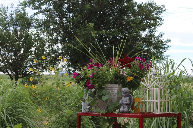 Natur, Sommer, Blumentopf, Vogelkäfig