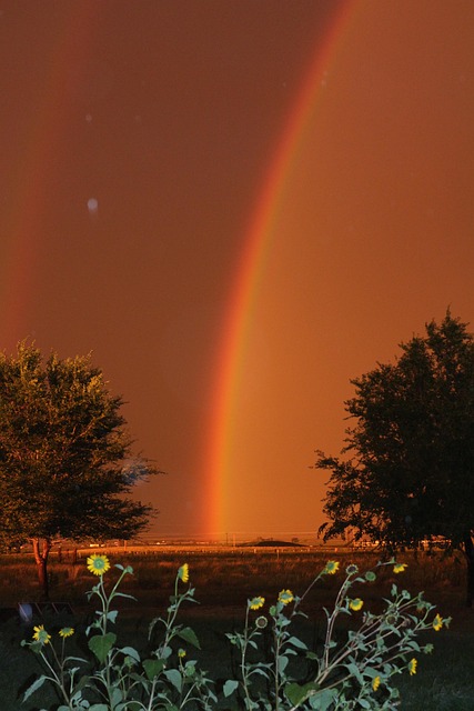 Regenbogen, Nachtzeit, Regen, Beleuchtet