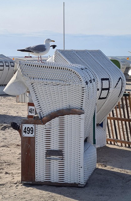 Free Beach Beach Chair photo and picture
