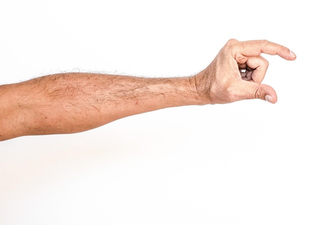 Free White Background Hand photo and picture
