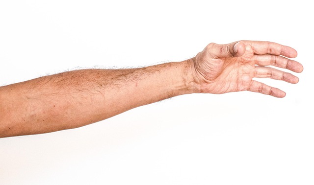 Free White Background Hand photo and picture