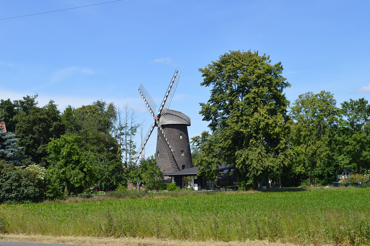 Windmill - free online jigsaw puzzle photo