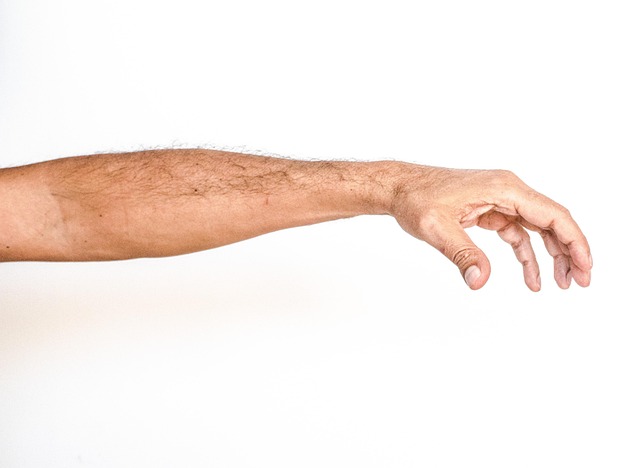Free White Background Hand photo and picture