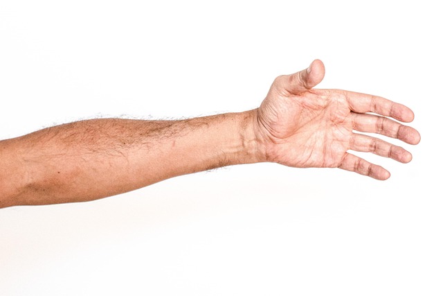 Free White Background Hand photo and picture