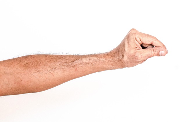 Free White Background Hand photo and picture