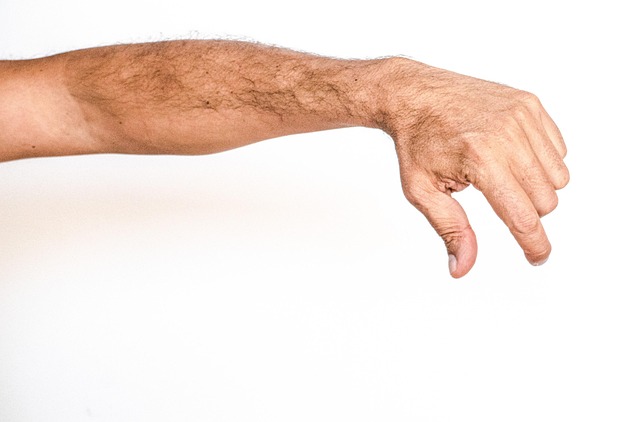 Free White Background Hand photo and picture