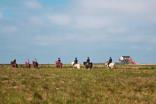 Free Horse Riding Spo photo and picture