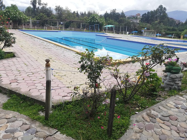 Free Pool Peru photo and picture