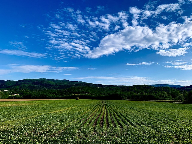 Free Sky Country photo and picture