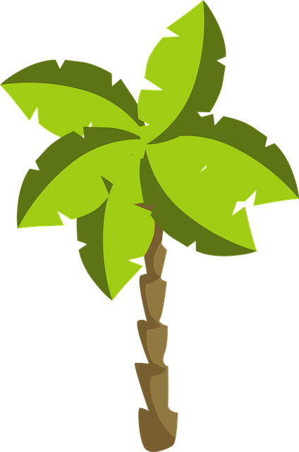 Free Palm Tree Coconut Tree vector and picture