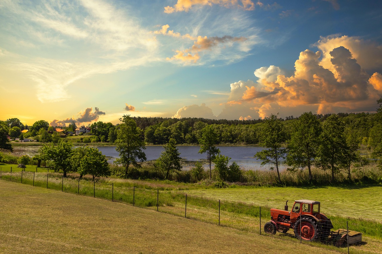 Field - free online jigsaw puzzle photo