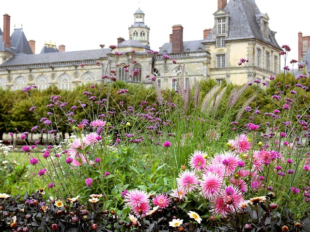 Free Fontainebleau Chateau photo and picture