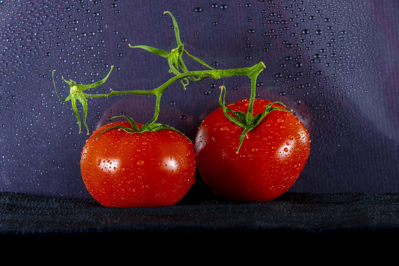 Tomato - free online jigsaw puzzle photo