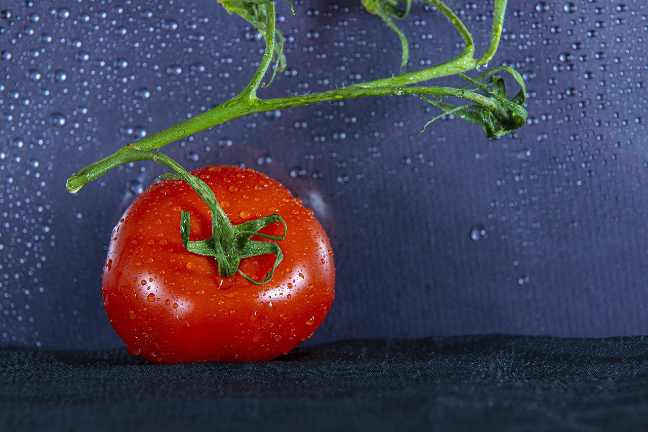 Tomato - free online jigsaw puzzle photo