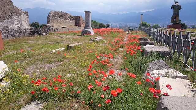Free Italy Pompeii photo and picture
