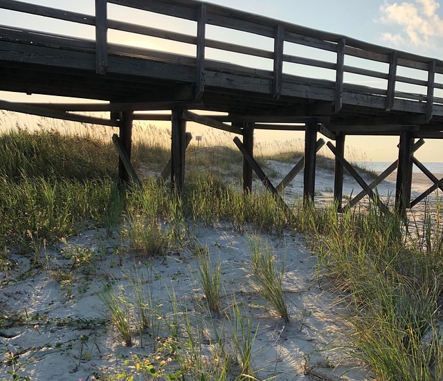 Pier Boardwalk Water - Free photo on Pixabay - Pixabay