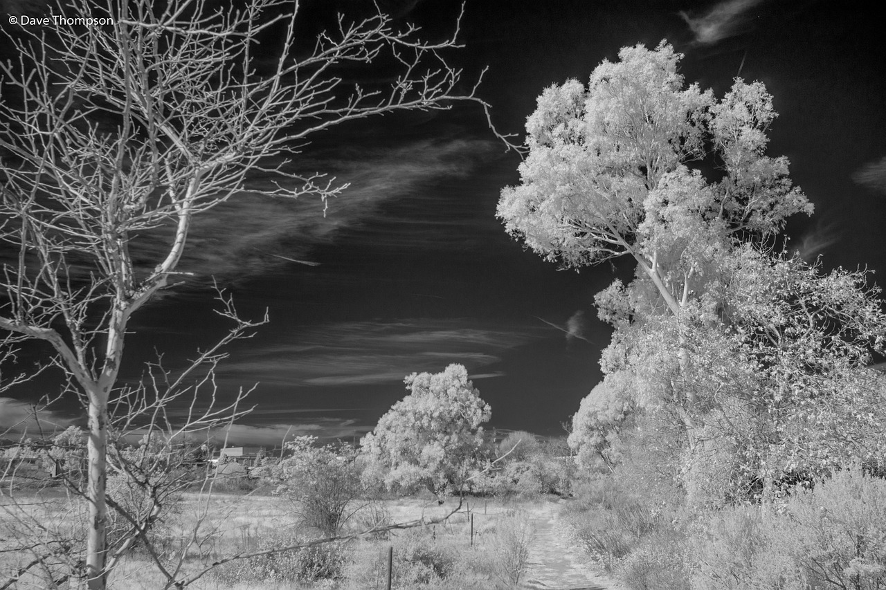 Infrared Landscape Scenic Free photo on Pixabay Pixabay