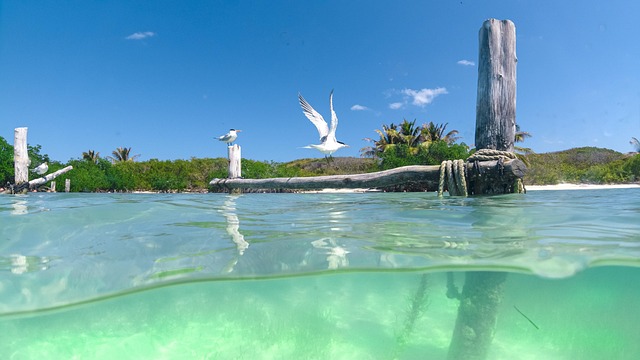 Cancun, Natureza, Praia, México
