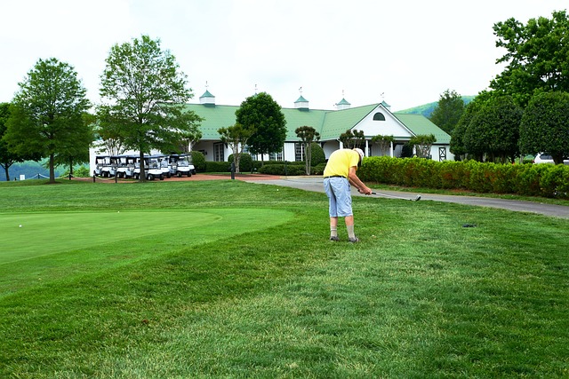 Golfspieler, Putten, Golf, Sport, Grüns
