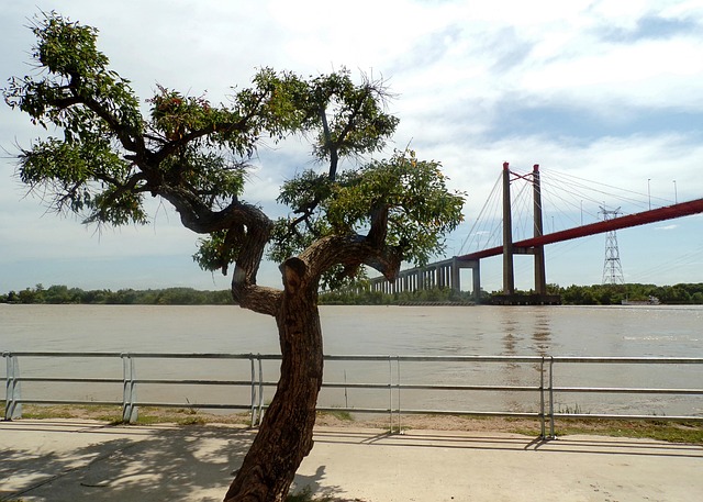 Fluss, Brücke, Baum, Die Architektur