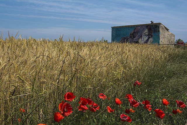 Free Poppy Cottage photo and picture