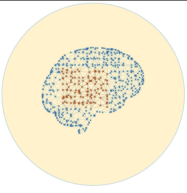 Free Stroke Brain photo and picture