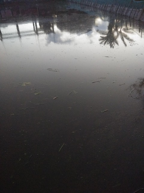 Free Pond Image photo and picture
