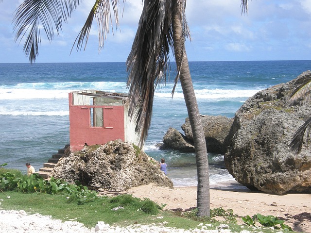 Barbados, Ocean, Kyst, Vand, Tropisk